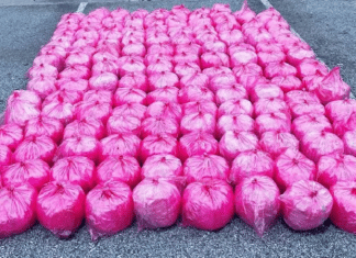 Border Patrol Agents Found $35.2 Million Dollars Worth of Meth in a Truck Carrying Strawberry Purée from Mexico to the USA strawberry puree meth drug bust in laredo texas