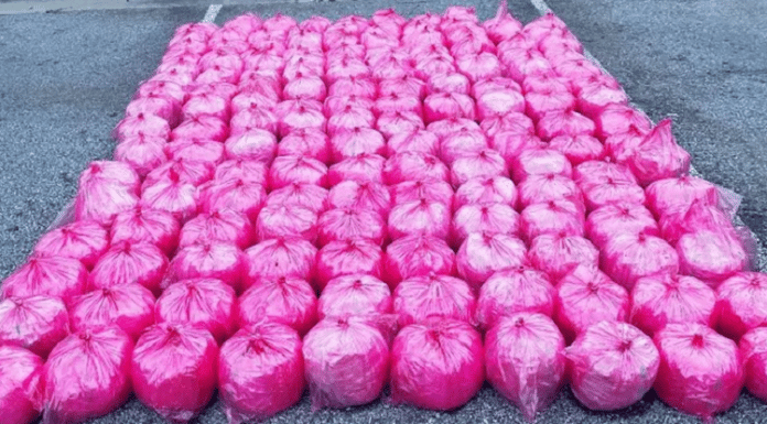 Border Patrol Agents Found $35.2 Million Dollars Worth of Meth in a Truck Carrying Strawberry Purée from Mexico to the USA strawberry puree meth drug bust in laredo texas