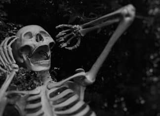 Someone Found a Human Skeleton in a Houston, TX BBQ Pit human skeleton screaming