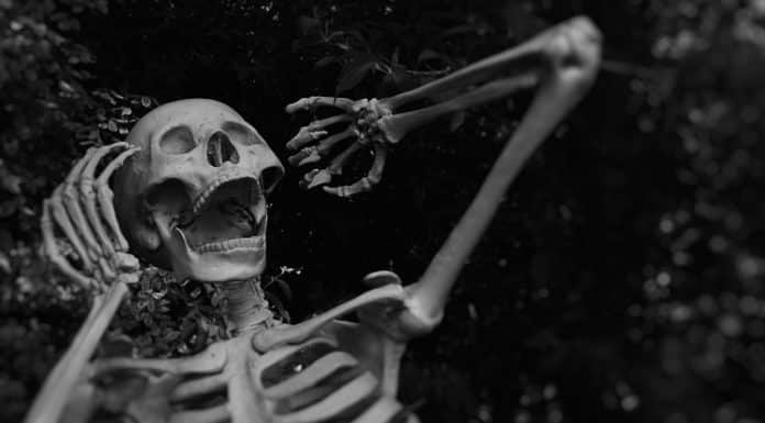 Someone Found a Human Skeleton in a Houston, TX BBQ Pit human skeleton screaming