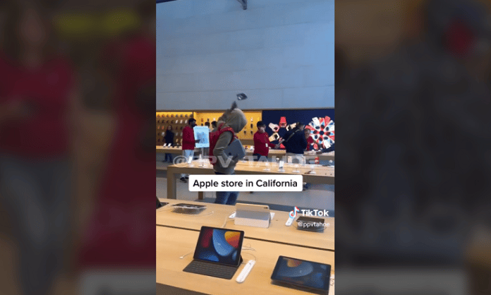 apple store in california robbed, employees helped